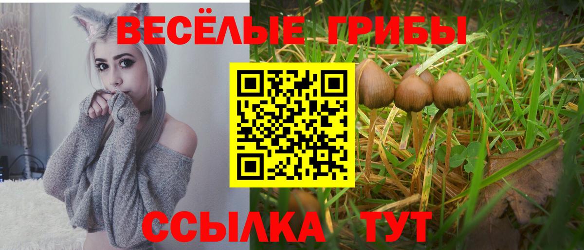 Псилоцибиновые грибы ЛСД  как найти   Ярцево  Вход с VPN 